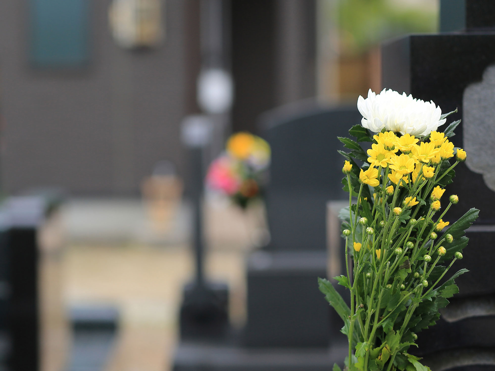 グリーンパーク新町田霊園